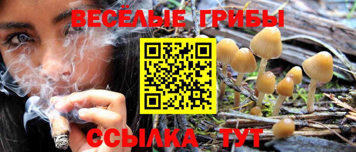 Псилоцибиновые грибы GOLDEN TEACHER Северобайкальск