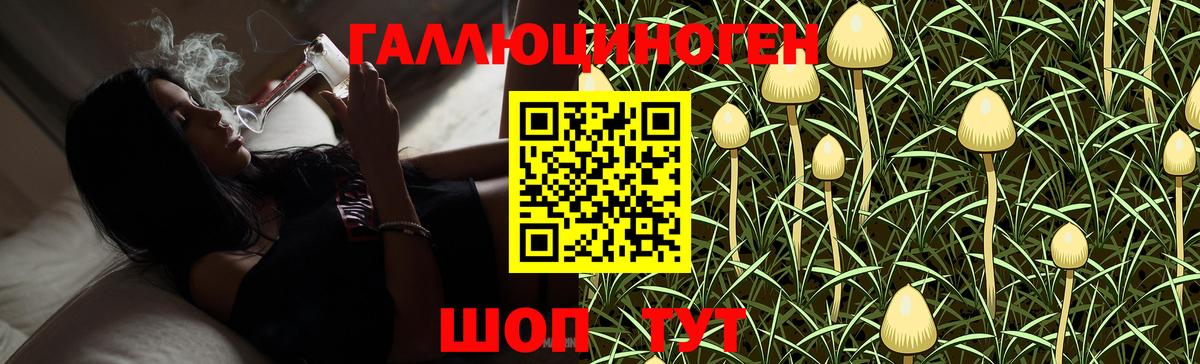 Северобайкальск  Галлюциногенные грибы GOLDEN TEACHER  Вход с VPN 